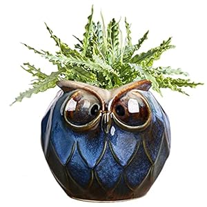 GeLive Blue Owl Ceramic Succulent Planter with Drainage Hole Animal Plant Pot Tabletop Decoration Vase Window Box Indoor Outdoor Decor (Blue) GeLive Blue Owl Ceramic Succulent Planter with Drainage Hole Animal Plant Pot Tabletop Decoration Vase Window Box Indoor Outdoor Decor Blue
