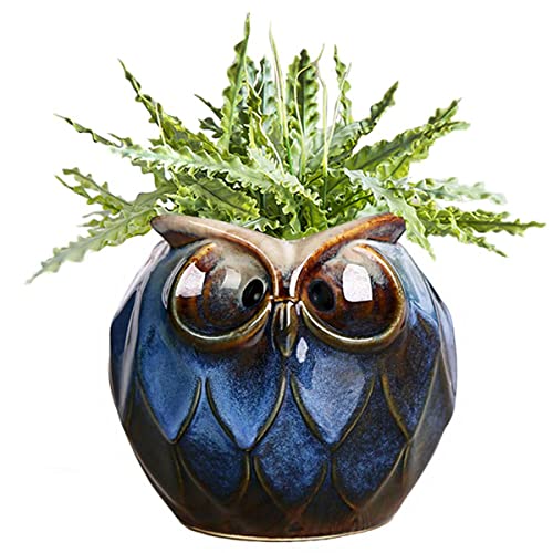 GeLive Blue Owl Ceramic Succulent Planter with Drainage Hole Animal Plant Pot Tabletop Decoration Vase Window Box Indoor Outdoor Decor Blue