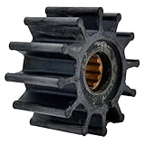 Johnson Pump