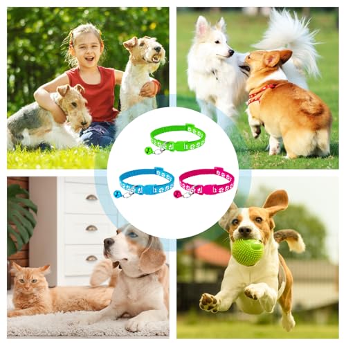 3 Stück Welpenhalsbänder mit Leine,Hundehalsband und Leine,Hundehalsband kleine Hunde, Welpen Zubehör Schnallenhalsband Verstellbares Weich Nylon Haustier