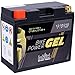 Price comparison product image Intact GT12B-4 / 51299 Motor Bike Battery Gel 12 V 10 AH Compatible with LI-12-12B-4 - YT12BBS - 51001 - 51015 - CT12L-B - 512901019 - YT12B-4 - YT12B-BS - 0092M60190 - M6019 - 00972512P1 - F12-12B/WP12B-4 - KT12B-4 - 51299 - 51201 - CT12B-4