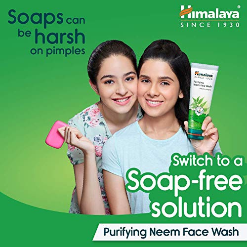 Image of Himalaya Herbals Purifying Neem Face Wash, 200ml And Himalaya Herbals Protein Shampoo with Chickpea, Gentle Daily Care, 400ml
