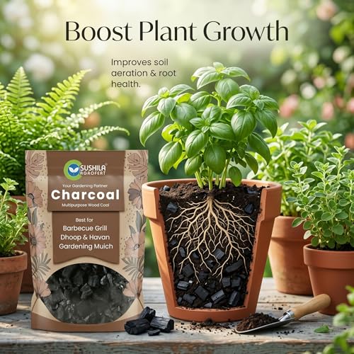 Image of Eco-Friendly Natural Wood Charcoal 1KG | Long Burning Coal & Air Purifier Koyla for BBQ, Grilling, Cooking, Pooja, Dhoop, Havan & Gardening | Activated Charcoal for Indoor Plants