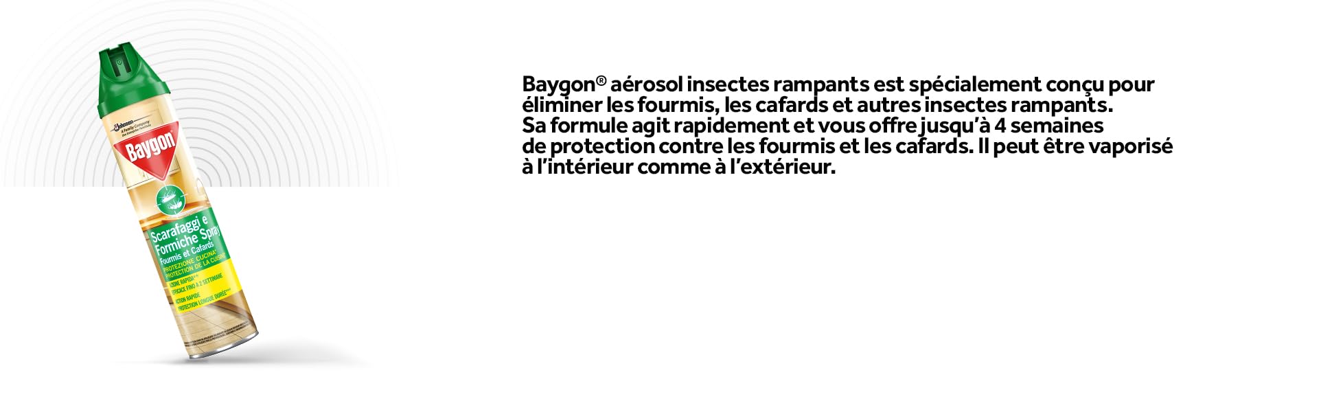 Baygon Insecticide pour cafards et fourmis 400ml