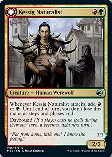 Magic: the Gathering - Kessig Naturalist // Lord of The Ulvenwald (231) - Foil - Innistrad: Midnight Hunt