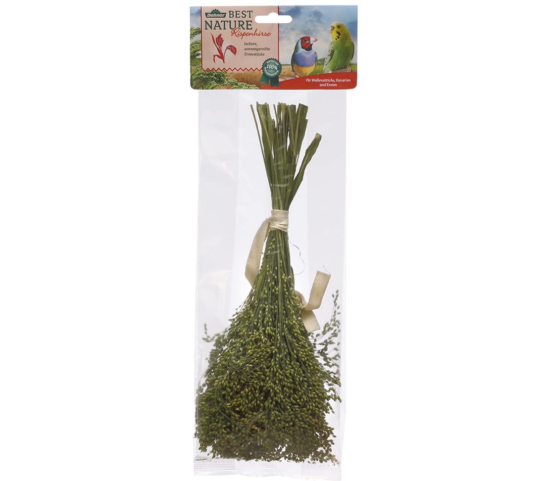 Dehner Best Nature - Bocadillo para pájaros, 100% Natural, para periquitos, Canarios, Aves Ornamentales, 10 x 50 g (500 g)