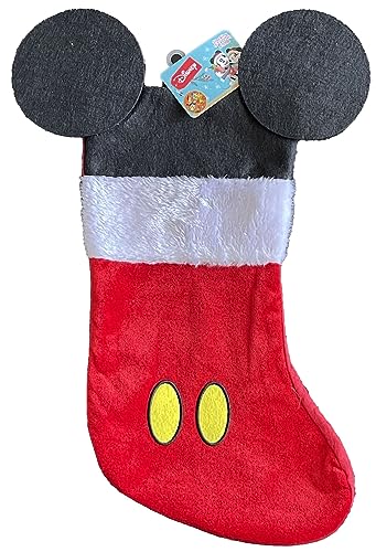 Disney Mouse Ears 18