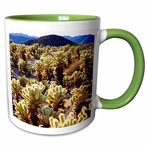 3dRose USA California Teddy Bear Cactus 11oz Two-Tone Green Mug
