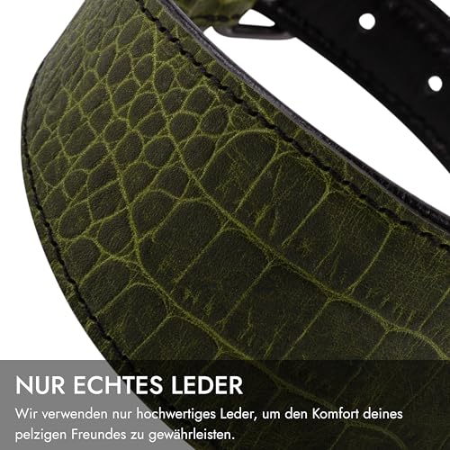 FAVPET Luxus Echtleder Windhund Halsband Breit mit QR Code Anhänger, Weiches Lederhalsband Hund Breit Whippet Italienisches Windspiel Saluki Lurcher Spanischer Galgo Greyhound Podenco (Grün, S)