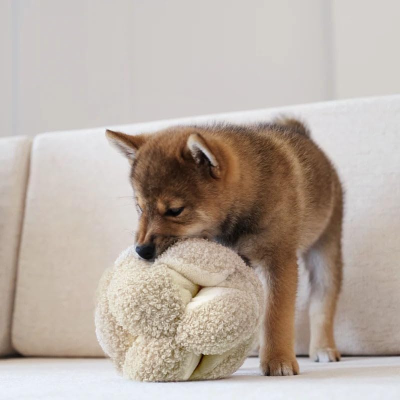 Amazon.com : SWZEC Lambwolf Monti- Enrichment and Interactive Dog