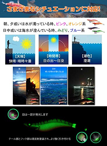 Tenkisy エギ セット（餌木） イカ釣り セット 全身夜光タイプ+ラトル エギング ルアー セット 漁具 夜光浮きスッテ 2.5号 10本セット イカ タコ専用 エギケース付き 5枚目