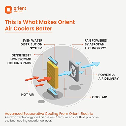 Image of Orient Electric Smartcool DX 18L Personal Cooler (Grey)