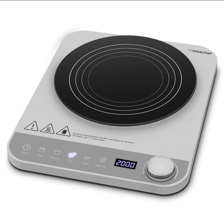 AMZCHEF Placa de inducción individual, plateada