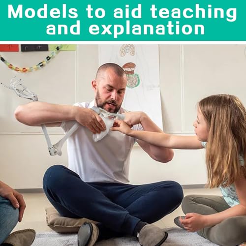 Image of Human Upper Limb Skeleton Anatomical Model, Life Size Human Arm Skeleton Model with Movable Shoulder and Hand Joints Clavicle and Scapula for Medical Science Education Study or Teaching