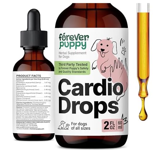 Forever Puppy Cardio Drops for Dogs - Hawthorn Berry & Motherwort Herb - Liquid Antioxidant Supplement with Gotu Kola Leaves & Lavender Extract - 2 fl oz
