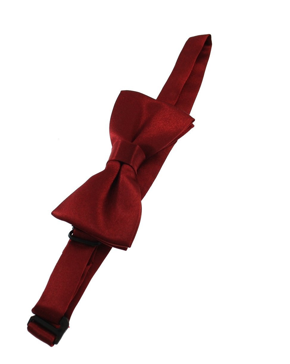 Zac's Alter Ego Fancy Dress Formal Bow Tie