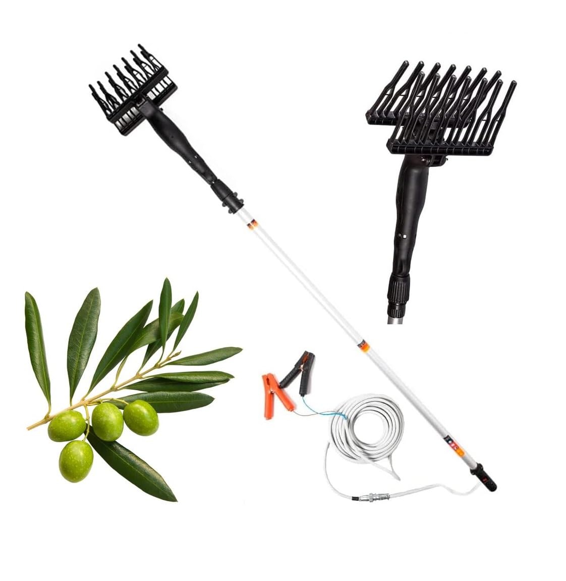 Abbacchiatore Scuotitore Olive a Batteria, Elettrico Telescopico, Batteria 12V 400W, Scuotiolive 1000 Battiti al Minuto, Peso Ergonomico Ridotto e Maneggevolezza Ottimale, Incluso il Cavo con Morsetto