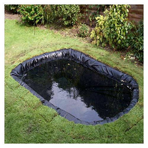 Bache bassin à poisson le top 20 des meilleurs de 2021 Meilleurs.info