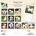 Bichon Frise | 2026 12 x 24 Inch (Hanging) Monthly Square Wall Calendar | Plastic-Free | BrownTrout | Animals Dog Breeds