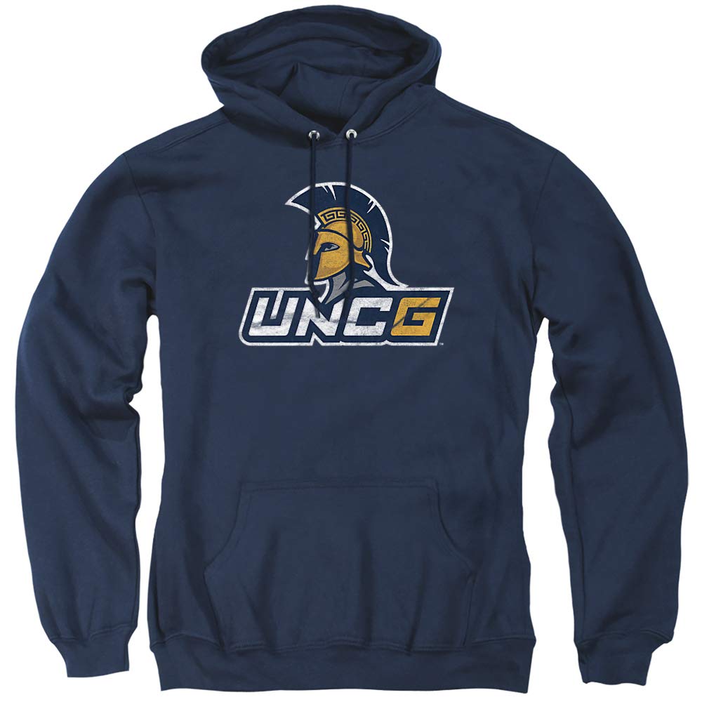LOGOVISION Official Collegiate Distressed Primary Logo Adult Pullover Hoodie Collection — view 31