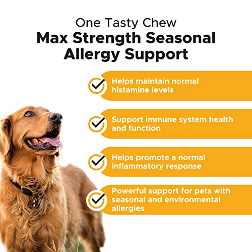 Pet-Honesty-Dog-Allergy-Relief-Chews-Max-Strength-Omega-3-Salmon-Fish-Oil-Probiotic-Supplement-for-Anti-Itch-Hot-Spots-and-Seasonal-Allergies-Chicken