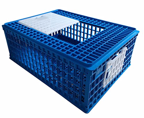 rabbitnipples.com - Chicken Transport 3 Door CAGE COOP Crate Chicken Quail Pigeons
