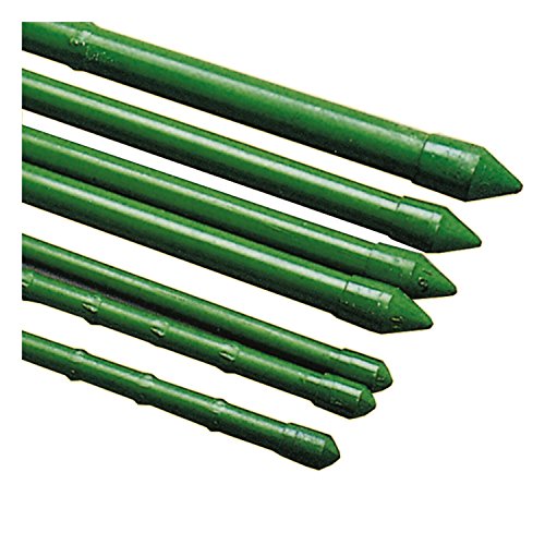 Preisvergleich Produktbild Pflanzstab mit Noppen 180 cm (10)