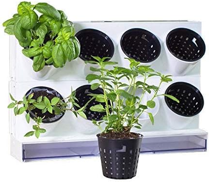 Watex Pixel Garden Desktop, Kitchen Farm, White