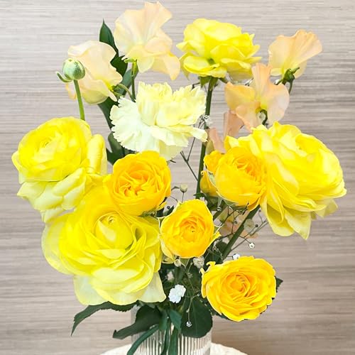 「試みの中で」2026-01-11