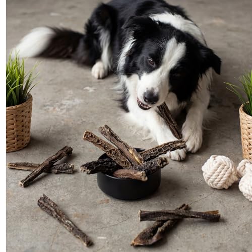 Lyra Pet® 1 kg Lammpansen 1000 g Kausnack Hundefutter Pansen Kauartikel