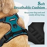 rabbitgoo Dog Harness No Pull with 2 Leash Clips, Adjustable Soft Padded, Reflective Oxford No Choke Pet Vest with Easy Control Handle for Large Dogs, Blue Coral, L