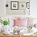 PANDICORN Valentines Day Pillow Covers 18X18 Inch Set of 2 Heart Love Pink Valentines Day Decor Outdoor Modern Farmhouse Decorations Pastel Valentine Decorative Throw Pillow Cases for Home Sofa Couch