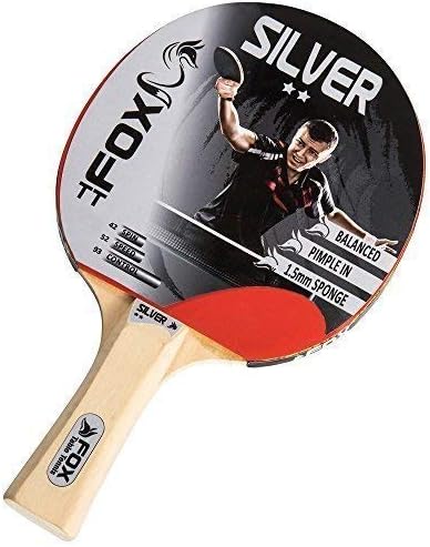 Silver 2 Star Outdoor Sports Racket Ping Pong Paddle Table Tennis Bat