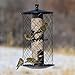 Perky-Pet The Preserve Wild Bird Feeder - 3 lb Seed Capacity - Keep Squirrels Out - Perky Pet 785 - Feed Wild Birds Outdoors - Durable Construction