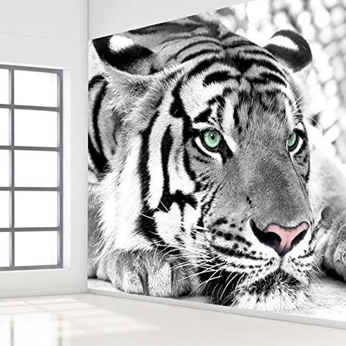 King Of The Jungle Wild Animal Wallpaper 3D Mural, Black White Tiger Custom Wall Poster Decor, Wall Painting For Bedroom And Living Room Tv Background 79" By 55" #TOP1