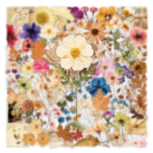 Image of Transparent Flora Scrapbook Stickers Aesthetic Flowers Stickers(100) | Transparent & Waterproof Sticker for Scrapbook Journal Water Bottle Kindle, DIY Crafts, Party Supplies