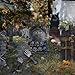 Amscan 670477 Halloween Cemetery Pop Up Coffin 60