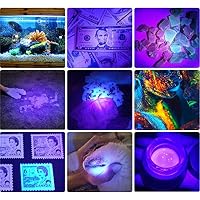 DARKBEAM UV-Taschenlampe, 395 nm, Schwarzlicht-Taschenlampe,Holzlampe – Ansicht 3