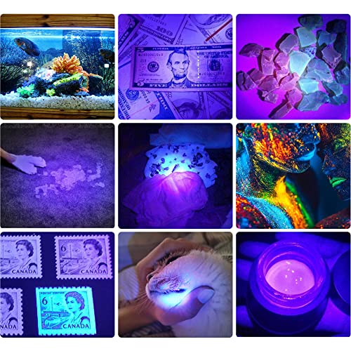 Darkbeam UV 395NM RECHARGEABLE FLASHLIGHT Uv 395Nm Flashlight Usb Rechargeable, Wood'S Lamp Black Light, Handheld Ultraviolet Led Portable With Clip, Resin Curing/Spot Scorpions/Fluorescer/Detector For Pet Dog Urine thumb #1