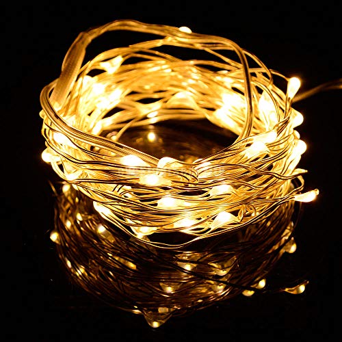 Honebear USB式 LEDイルミネーションライト 銅線ワイヤーライト 10m LED100 球 電飾 飾り付け フェアリーライト LEDストリングライト 祝日 結婚式 パーティー クリスマス 防水防雨仕様 電球色 ウォームホワイト