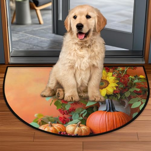 Image of cfpolar Half Round Door Mat Pumpkin Food Sunflower Fall Non-Slip Semi Circle Area Rug Washable Half Moon Hearth Rugs for Indoor Outdoor Bathroom Kitchen Patio Runner Mat Laundry Room Home Decoration
