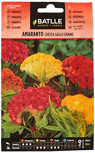 Semillas Batlle Amaranto CRESTA GALLO enano