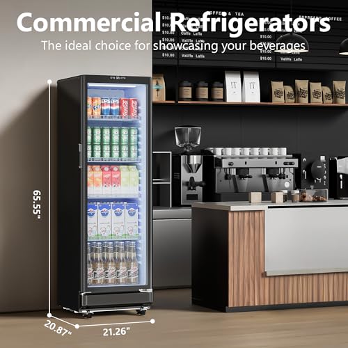 ICEVIVAL 8.5 Cu.Ft Commercial Refrigerators, Display Fridge with Double-Tempered Glass Door, Outdoor Beverage Refrigerator with Locking, Key & LED, Beverage Cooler for Bar, Office, Restaurant on Fridge.com