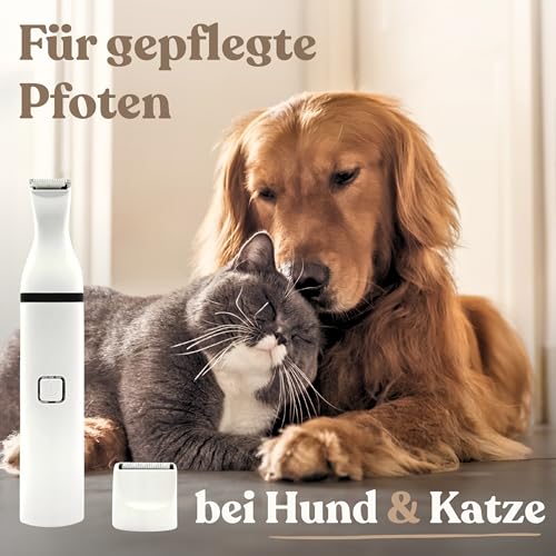 Alpenstern® Profi Pfotentrimmer für Hunde und Katzen - Hundepfoten Trimmer leise Schermaschine Hundeschermaschine Rasierer für Augen, Ohren, Fell - starker Motor und Akku - mit USB-C