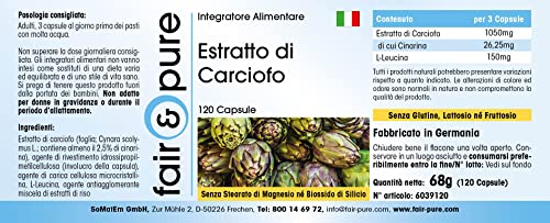 Artisjok capsules - extract gestandaardiseerd op 2,5% cynarine - vegan - natuurlijk - zonder magnesiumstearaat - 120… - Image 7