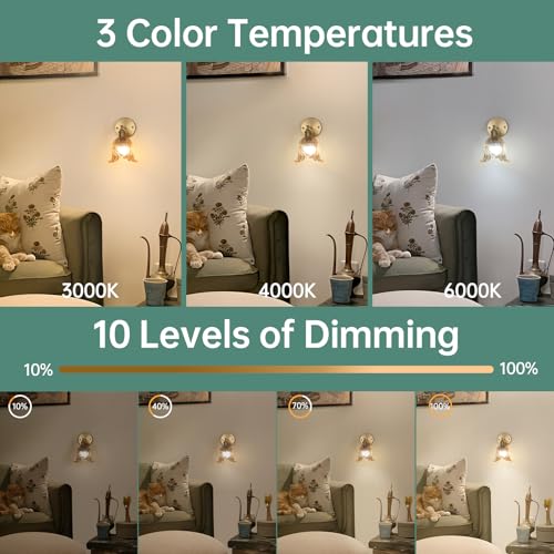 Image of Shenmoyl Vintage Battery Operated Wall Sconces Set of Two, Rechargeable Battery Powered Wall Sconces with Remote Control, Wireless Dimmable LED Light for Bedside Indoor Living Room (Amber Lily)
