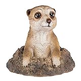 Diese Gartendeko aus Polyresin zeigt ein Erdmännchen, das aus seinem Loch herausschaut. Die detailgetreue Fellstruktur der Figur ist besonders hervorzuheben. Die vielen zusätzlichen Details bieten einen zusätzlichen Blickfang