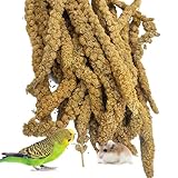 kathson Natural Sun-Dried Birds Millet Spray Millet Treat bird snacks for Parrots Cockatiels Lovebirds Painted Buntings and Finches Parakeets 1.1 LB