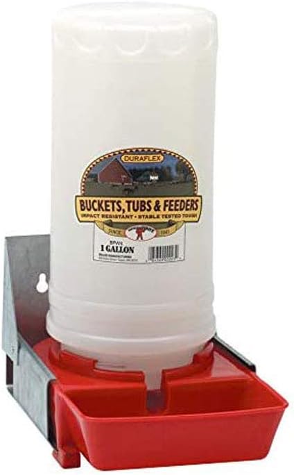 Little Giant BPW4 1-Gallon Impact Resistant Translucent Polyethylene Piglet Waterer (2 Pack)