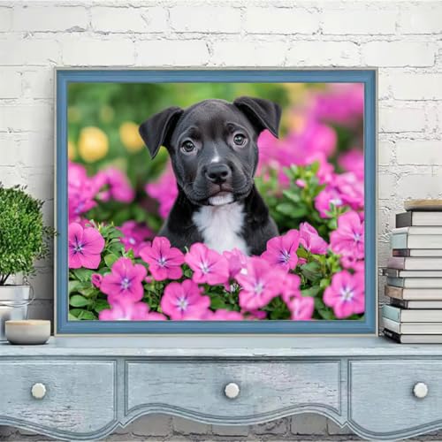 G ? yCgoCio[Lbg lqp   yCgoCio[Lbg qp uV/ANyCg zIDiy擅 H?? ? ???? z[EH[fR[Vp ւ̃Mtg 20x30cm w6t-3